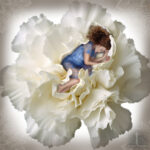 Kwiat życia 100 na 100