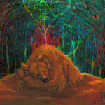 sen niedzwiedzia 70 na 50